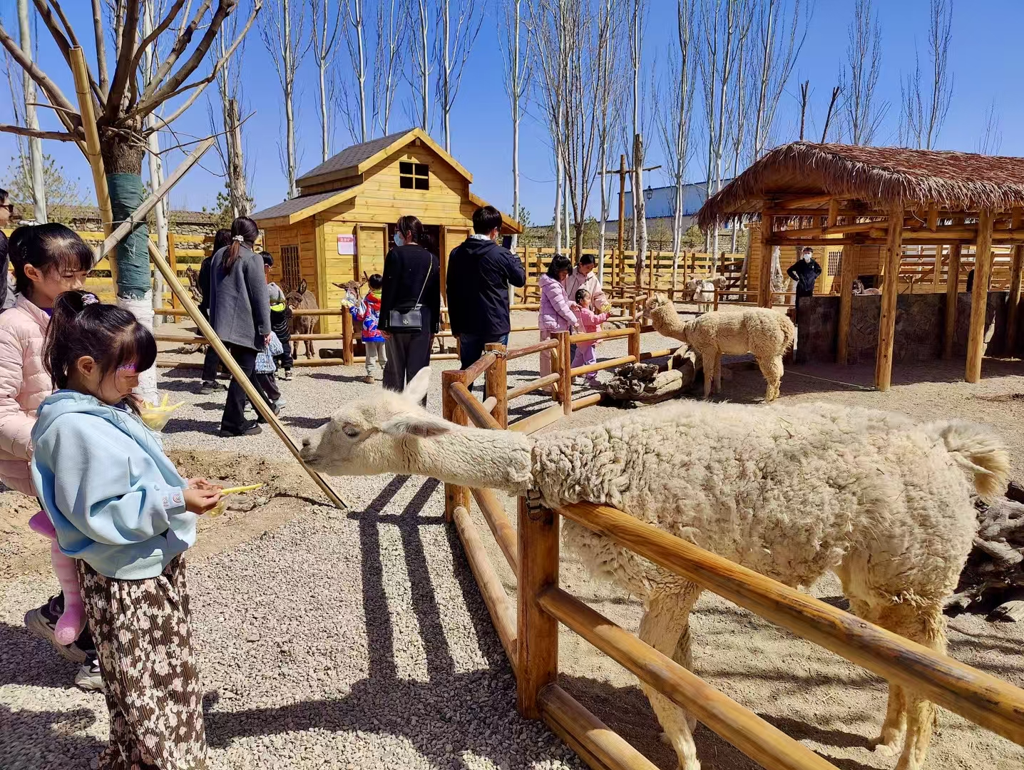 mmexport1743556596339